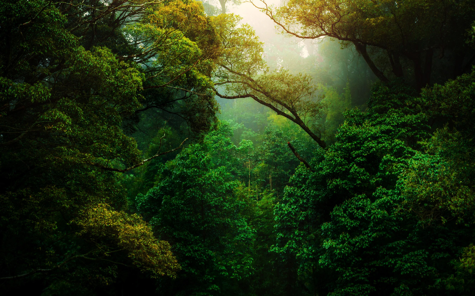 formation nature